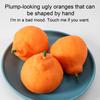Eye Popping Tomato Squeeze Toy Broccoli Bitter Gourd Cartoon Garlic Eggplant Anti-anxiety Toy Simulation Fruit Vegetable