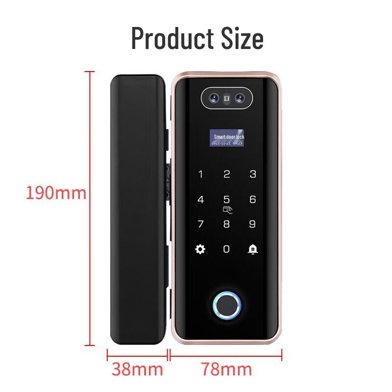 Realand ZD508 Face Fingerprint Access Control Lock CN plug (adapter included)