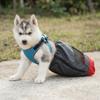 Köpek – Köpek bakım ürünleri