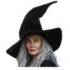 Lila Samt Hexen- und Zaubererhut - Halloween Kostümzubehör
