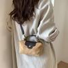 High-end niche bag women's new fashion versatile messenger bag portable small bag