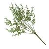 Robusta Smith Eucalyptus Foliage Decor Home And Event Styling Material Pvc