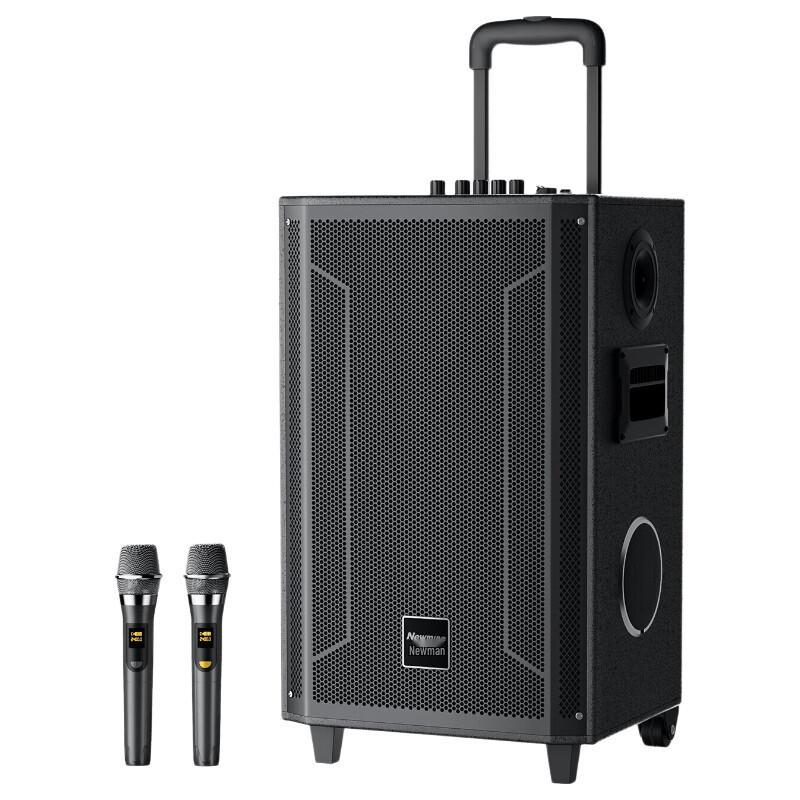 Newmine N530 12-inch Portable Bluetooth Karaoke Speaker (CN version)