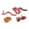 King Crab Earthworm Simulation Insect Educational Toys Children Octopus Salmon Realistic Life Cycle Growth Cycle Model
