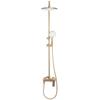 Avalon Gold Brushed Shower Set Sku Rea-p2400