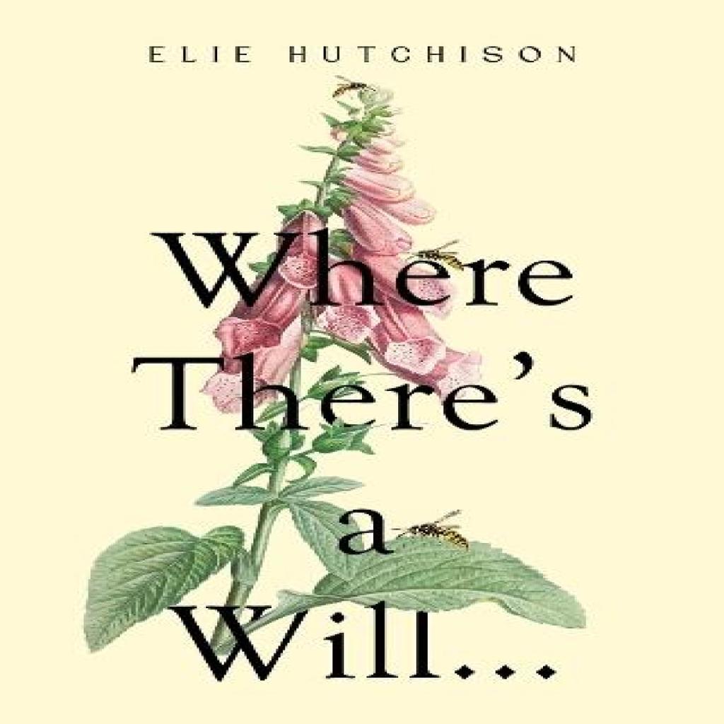 Where Theres a Will... by Elie Hutchison Paperback Book 9781837948116