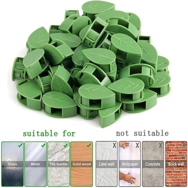 Invisible Plant Climbing Wall Fixture Clips 10/20/40/60Pcs PcsRattan Vine Bracket Fixed Buckle Leaf Clips Traction Holder Garden