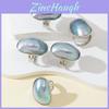 Muschel Offener Ring Unisex Verstellbarer Schmuck Mit Galvanisierter Oberfläche Für Sommer Mode