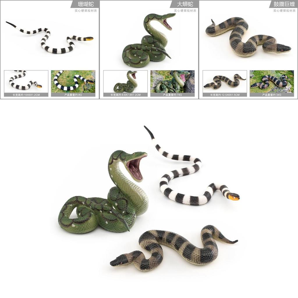 Realistic Snake Model Pvc Reptile Figure For Kids Educational Display And Decor