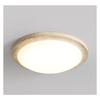Natural Yellow Lime Hua LED Ceiling Light Creative Circular Light Wabi Sabi Ceiling Light  Dining Room Bedroom Decoration