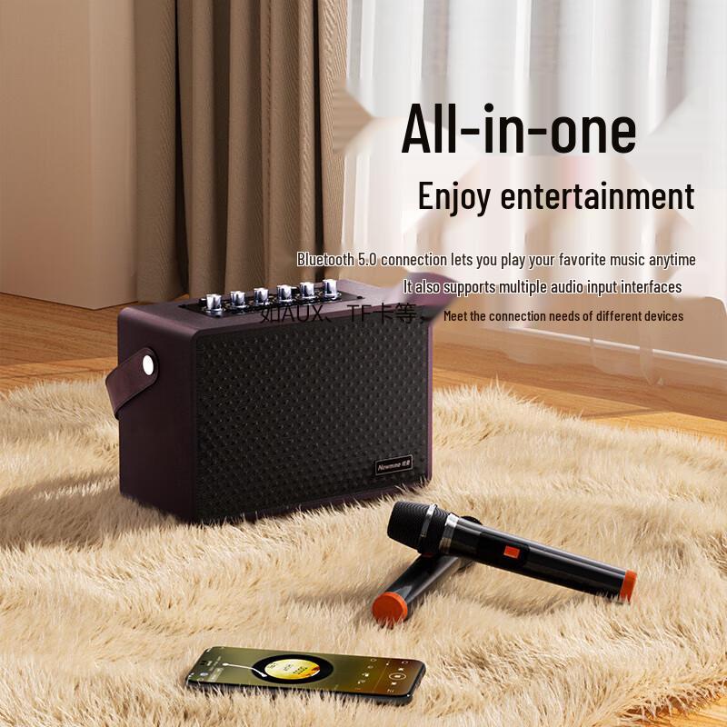 Newmine K222 Portable Bluetooth Karaoke Speaker with Dual Microphones