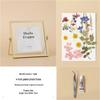 Nordic Creative DIY 3D Dried Flower Frame Kit - Simple Metal & Glass with Glue