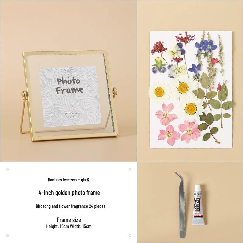 Nordic Creative DIY 3D Dried Flower Frame Kit - Simple Metal & Glass with Glue