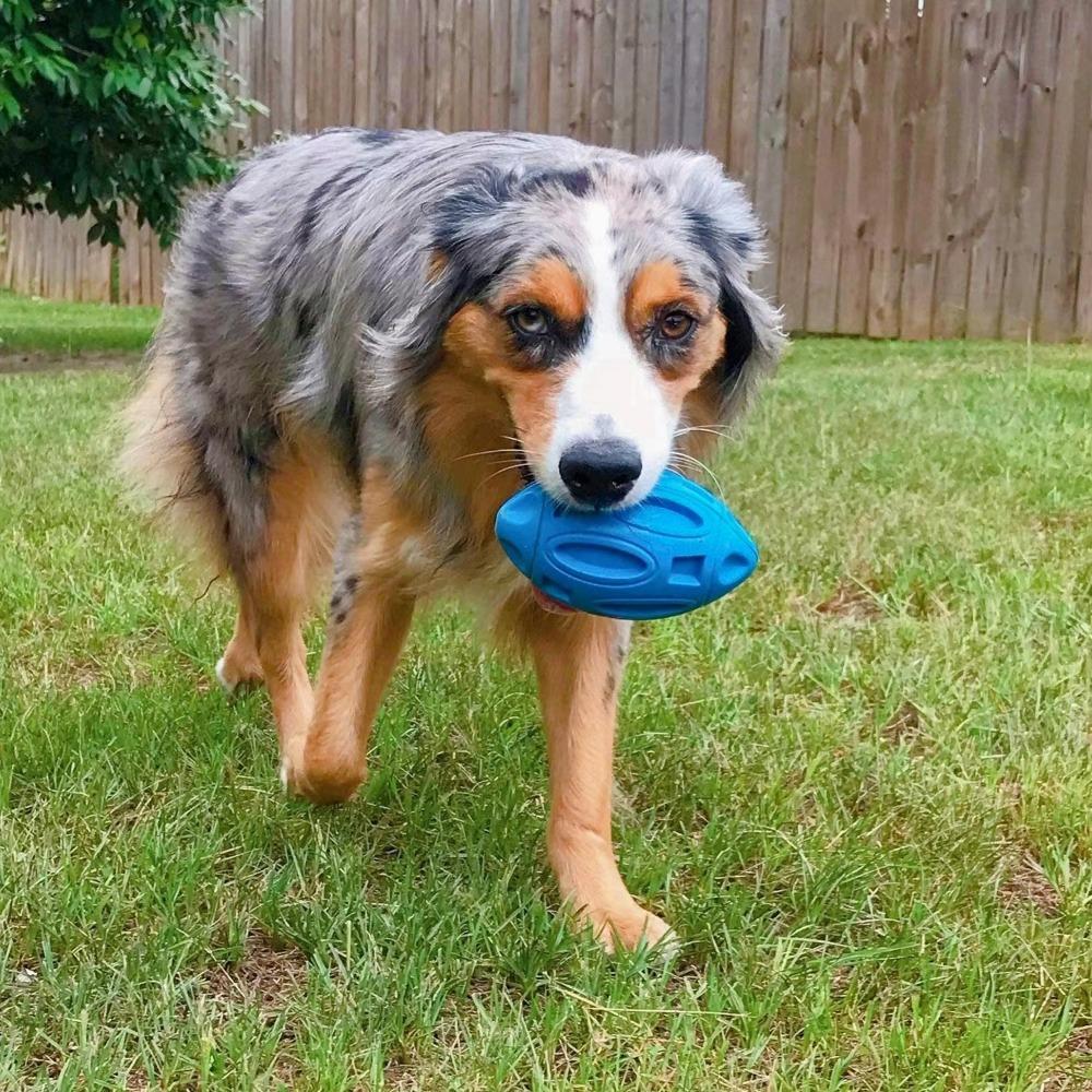 New Dog Toy Ball High Quality Rubber Sounding Olive Balls Super Durable Teeth Sharpening Chewing Training Toys Pet Supplies