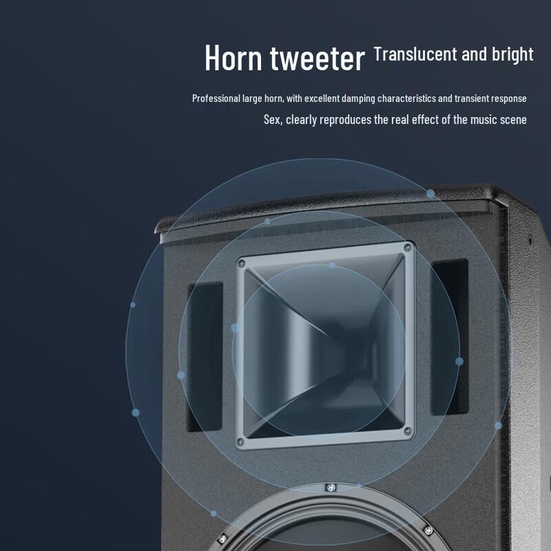 HuiDu MF-12 Professional Full-Range Stage Speaker CN plug (adapter included)