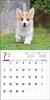Calendar 2024 Corgi galez (Calendarul Seibundo Shinkosha)