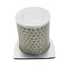 Motorcycle Air Intake Filter For Honda CBX250 CBF250 2004 2005 2006 17213-KPF-900 17213-KPF-960 Air Cleaner