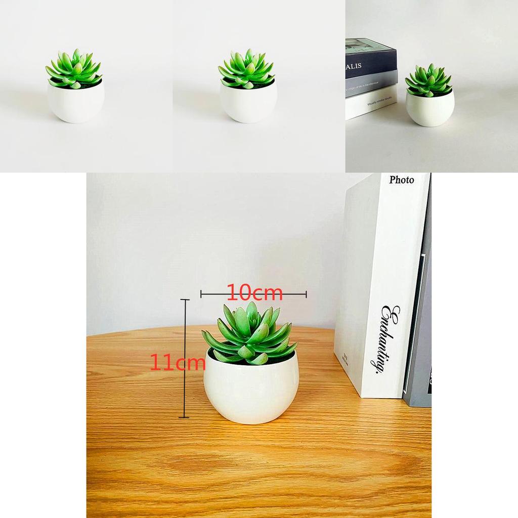 Simulated Succulent Bonsai Pot With Lightweight Pvc For Home Office Interior Design