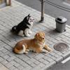 3D Dog Cat Silicone Candle Mold Praying Cats Sitting Standing Dog Silicone Mould DIY Animals Soap Resin Plaster Mould Ornament