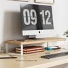 Ayub Desktop Monitor Riser with Storage Shelf