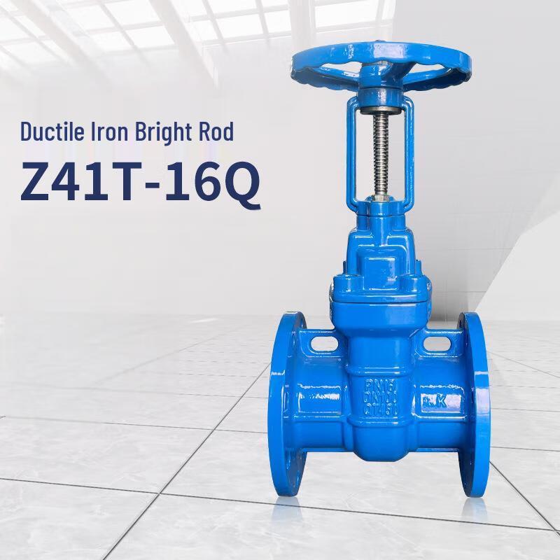 Chuxiao Z41T-16Q Cast Iron Rising Stem Gate Valve