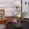Round Ikebana Stem Holder Suction Cup Transparent Flower Arrangement Base Flower Fixing Bracket Vases Floral Fixed Base Holder Cup Holders 5
