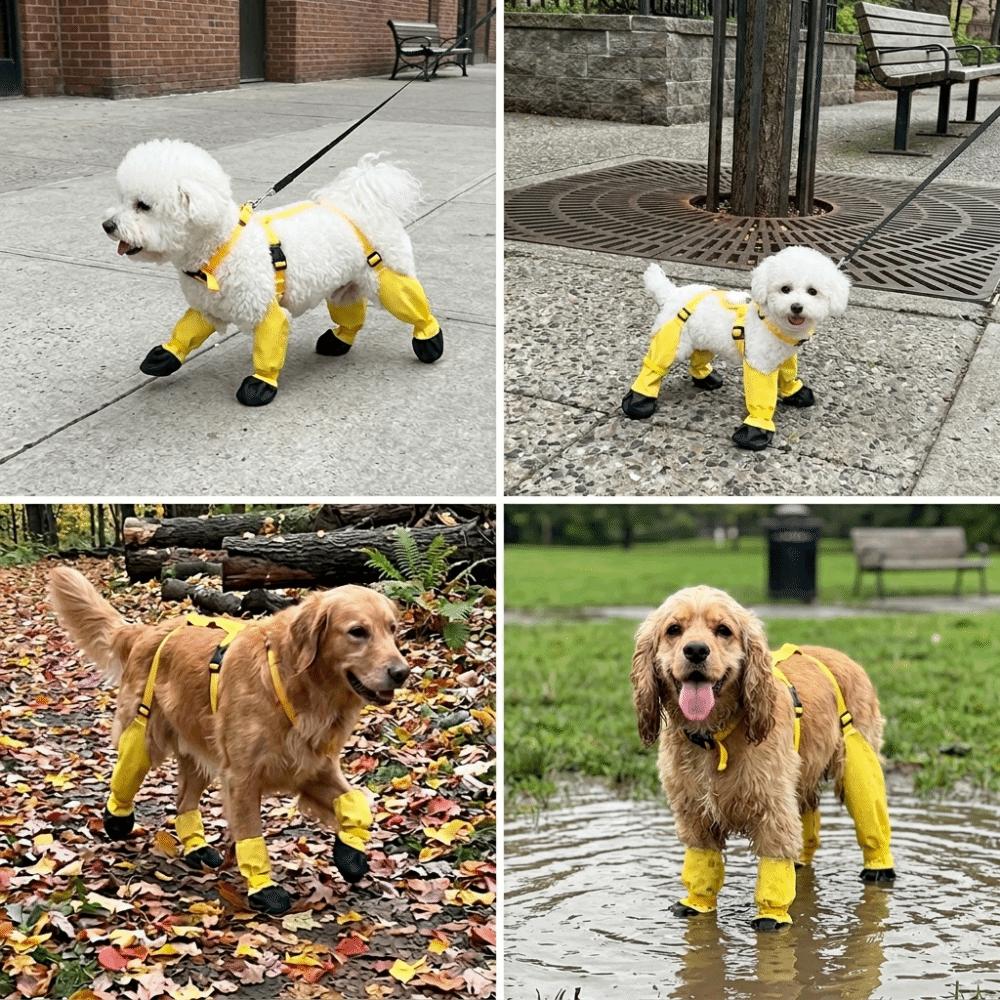 All Season Fit Dog Shoes Splash Block Dog Footwear Ground Isolate Pet Boots  Rainy Day Use