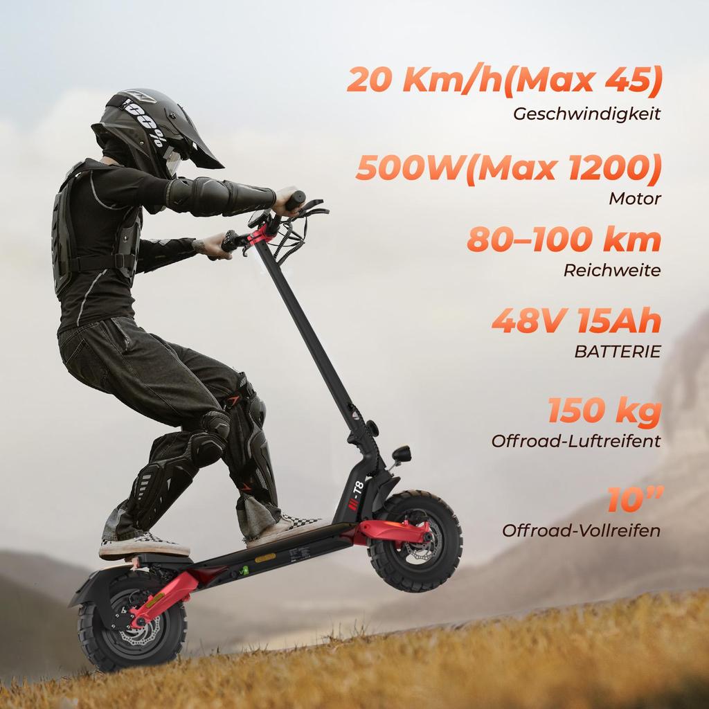 Electric Scooter Foldable With Road Approval Top Speed 20Km/h 48V 15AH Max Range 100Km ABE Certified T8