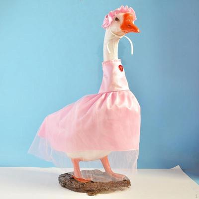 Parti Süsleri – Etkinlik ve Parti Malzemeleri