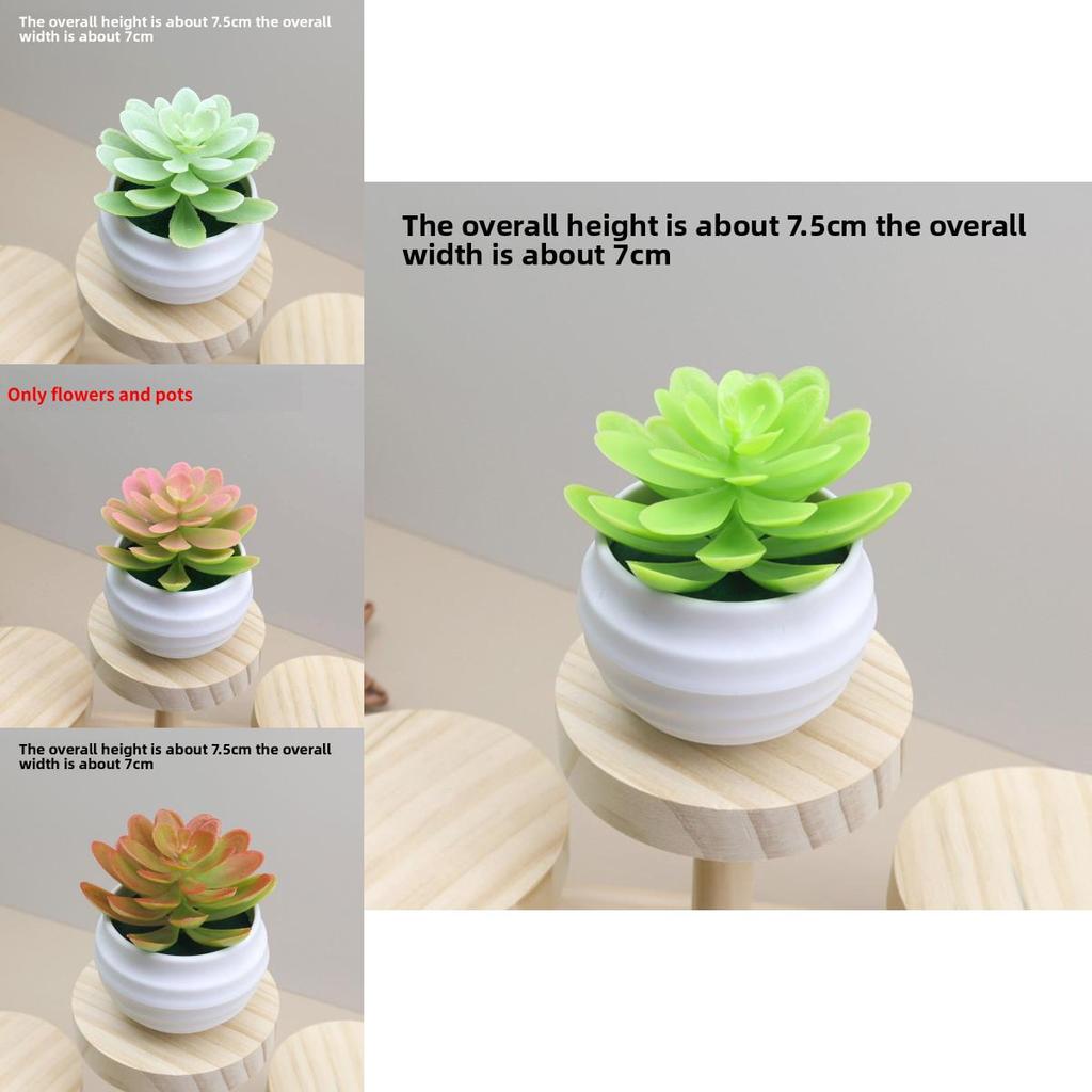 Faux Succulent Plant Lotus Potted Plant For Bedroom Or Workspace