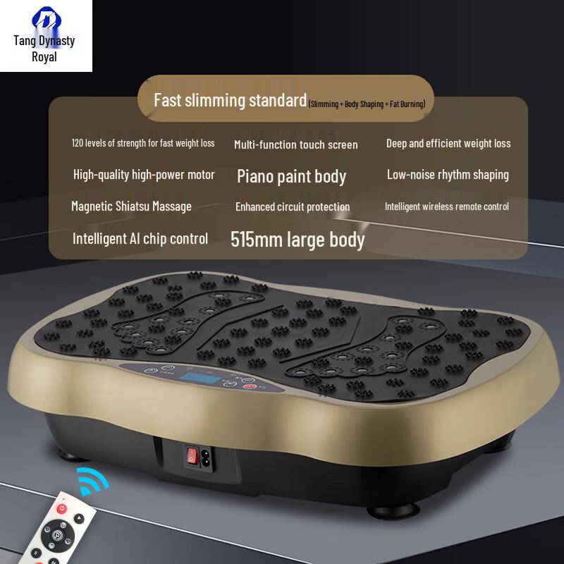 Smart Full-Body Vibration Plate CN plug (adapter included)