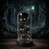 Halloween Decorative Preserved Flower Glass Dome With Black Rose Skull Ghost King Pumpkin Party Gift