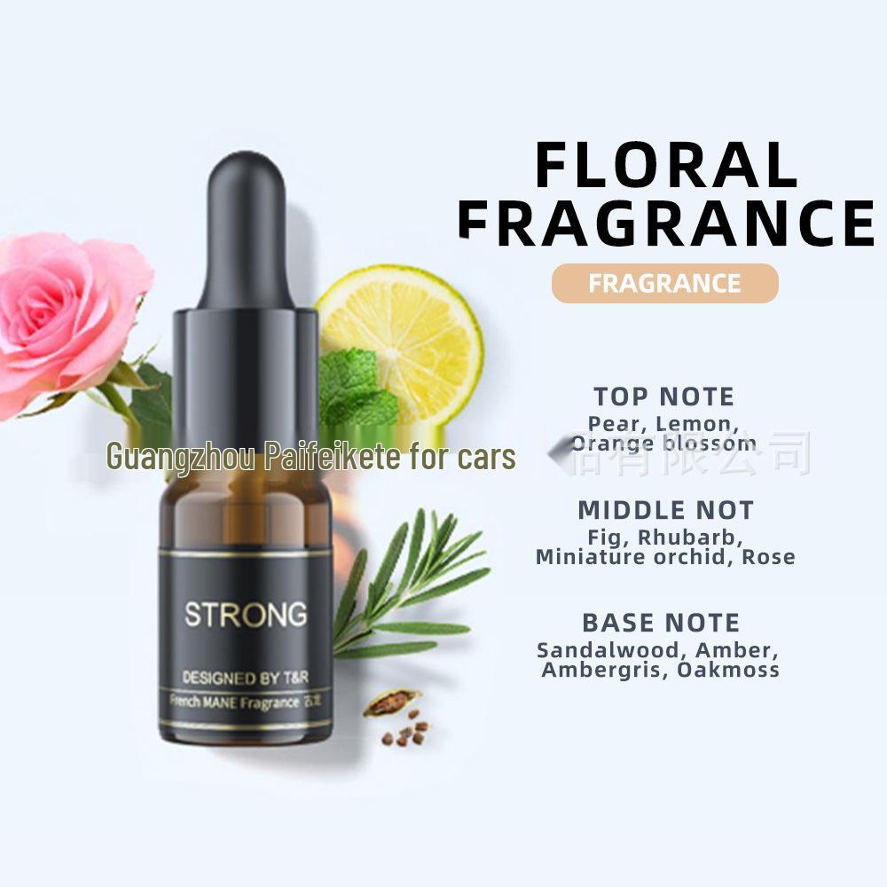 Car Air Freshener Set: Aromatherapy Essential Oils In Three Scents - Flower, Ocean, and Cologne