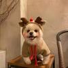 Christmas Reindeer Hoodie for Small Medium Dogs Warm Woven Polyester Holiday Costume Sweatshirt