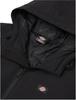 Demiseason Jacket Dickies New Sarpy Jacket (DK0A4XG8) Black
