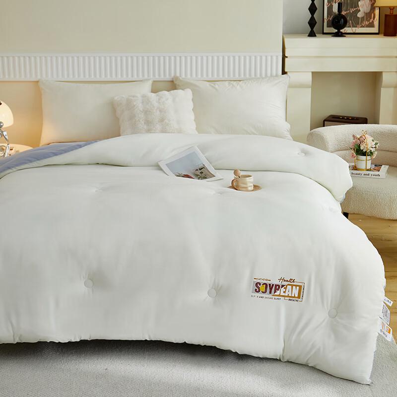 BGM Cloud-Feel Soybean Fiber Quilt