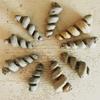 Natural Crystal Mineral Specimen Turritella Fossils Spiral Snail Shell Crystal