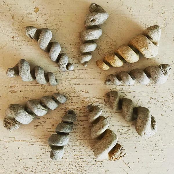 Natural Crystal Mineral Specimen Turritella Fossils Spiral Snail Shell Crystal