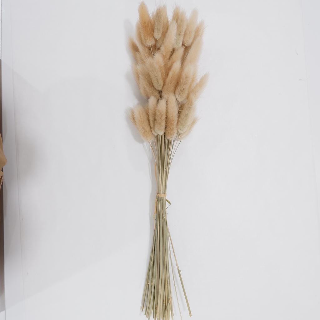 Small Reed Dried Flower Bouquet Small Whisk Small Pu Reed Reed Dried Flower Rabbittail
