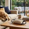 Dog Bite Numbing Pillow Tug Toy Dog Training Tug Pillow Toy with Handles Dog Training Bite Pillow