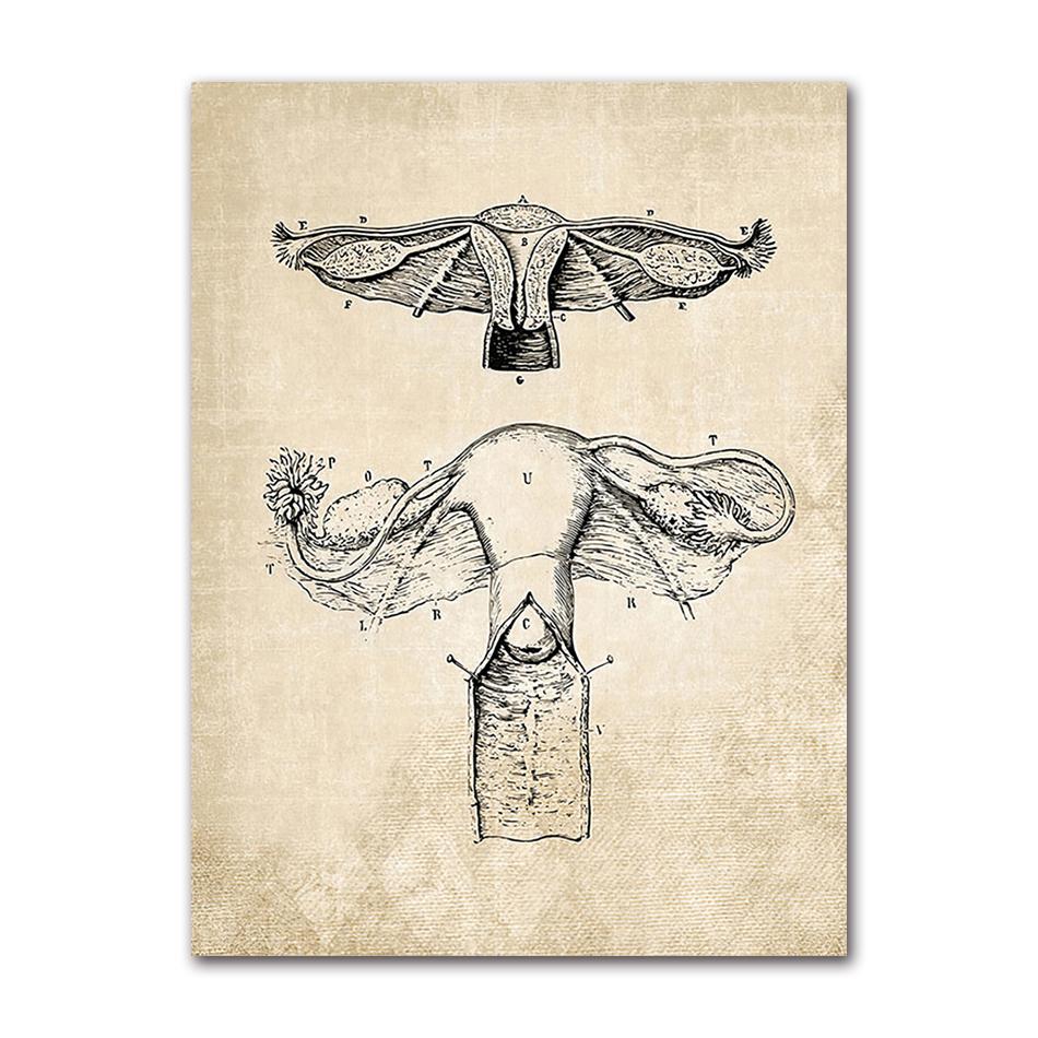 Wandbilder für Krankenhaus, Arzt, Büro, Dekor, Wandkunst, Leinwand, Malerei, Anatomie, Skelett, nordische Poster und Drucke, Vintage
