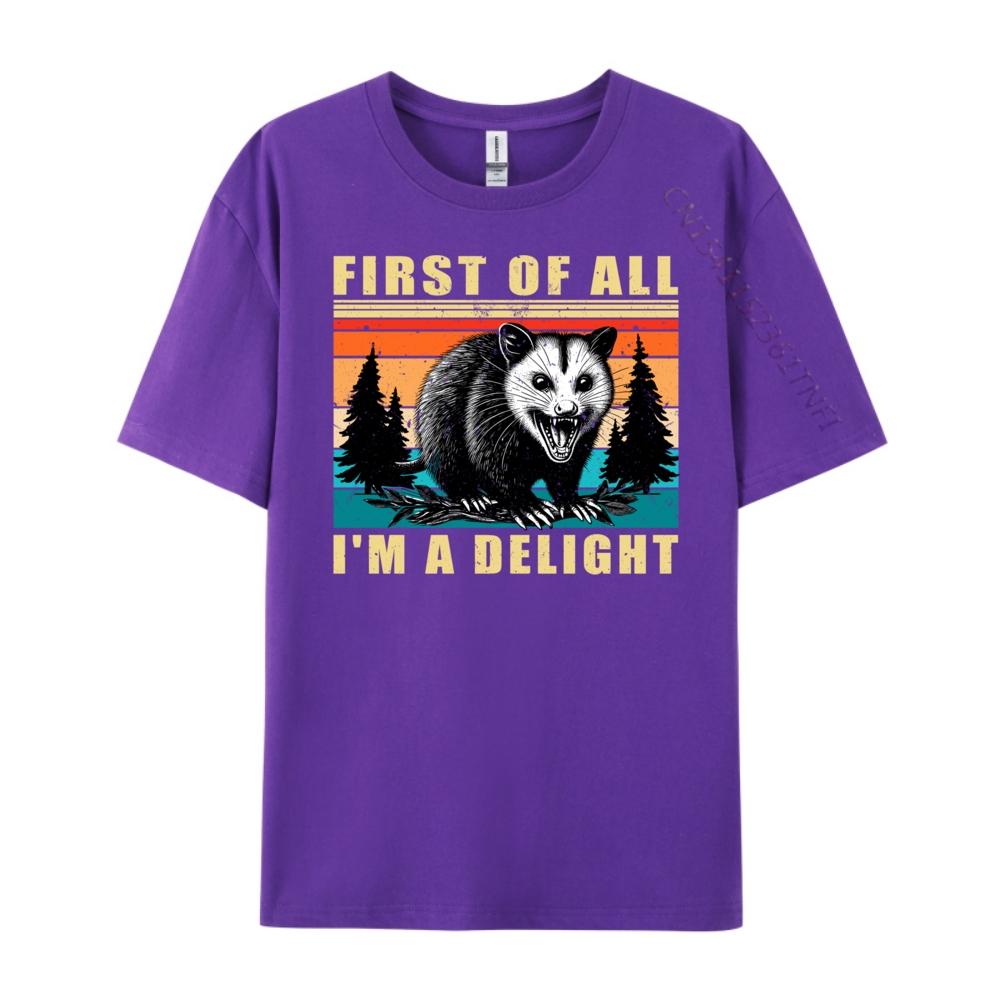 First Of All I M A Delight Angry Opossum Possum Wholesale Tshirts 100 Pcs T-Shirt Tops T Shirt Character