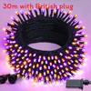 30m 300 Led Light String With Remote Control And Timed For Decor Courtyard