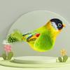 Interactive Cat Birds Toy for Indoor Cute Cat Toy with Realistic Bird Sounds Toy