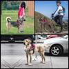 Reflective Pet Harness & Leash - Comfortable Vest-Style Design