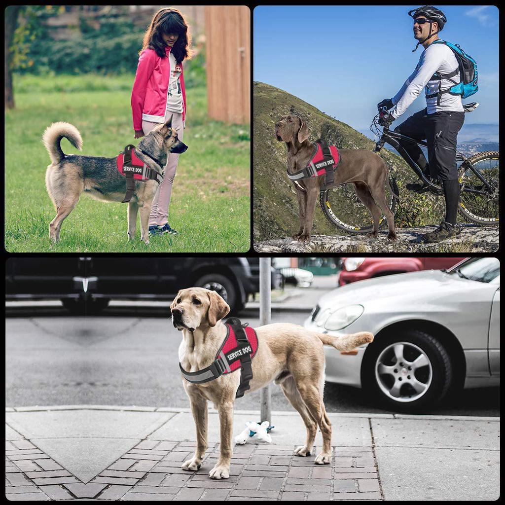 Reflective Pet Harness & Leash - Comfortable Vest-Style Design