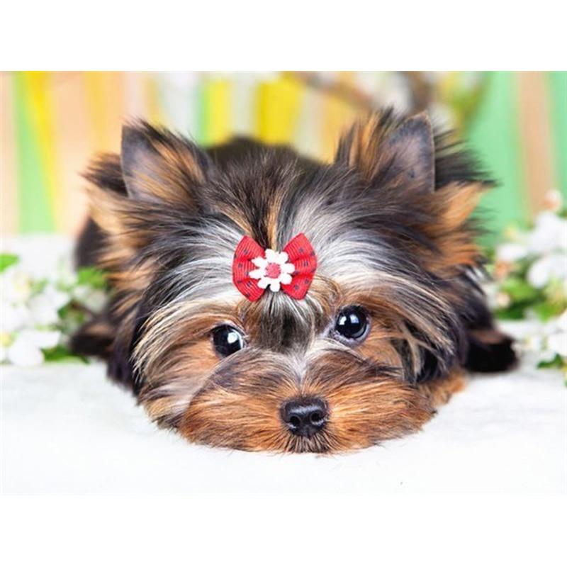 DIY 5D Diamond Painting Animal Full Square/Round Diamond Embroidery Picture Rhinestones Mosaic Dog Cross Stitch Home Decor Gift