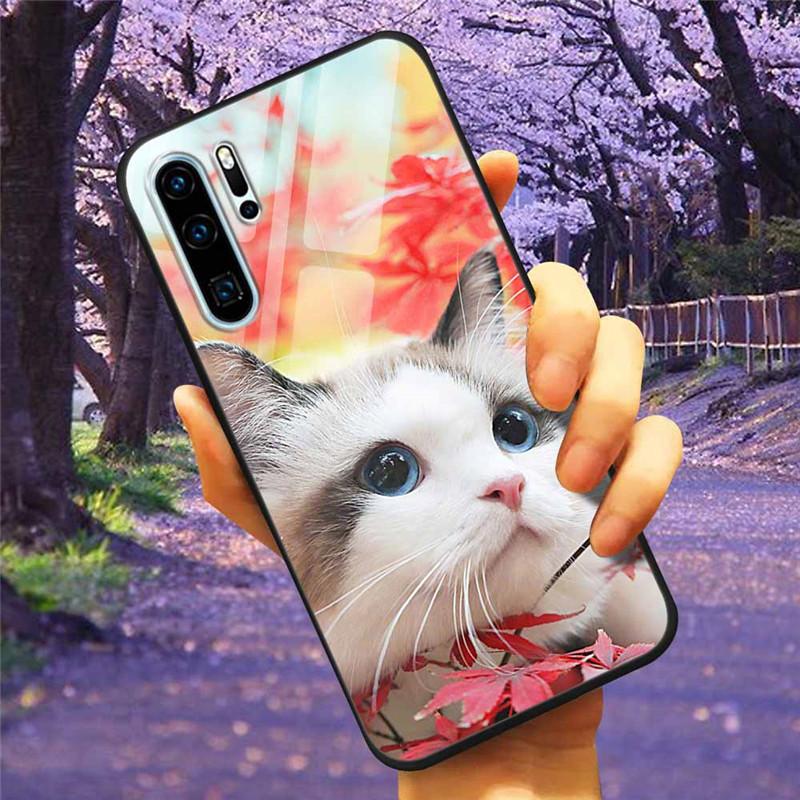 Phone Cover For Huawei P30 Pro Lite Case Tempered Glass Space Wolf Lion Funda for HUAWEI P30 Lite Luxury Cases P30Pro P 30 Cat