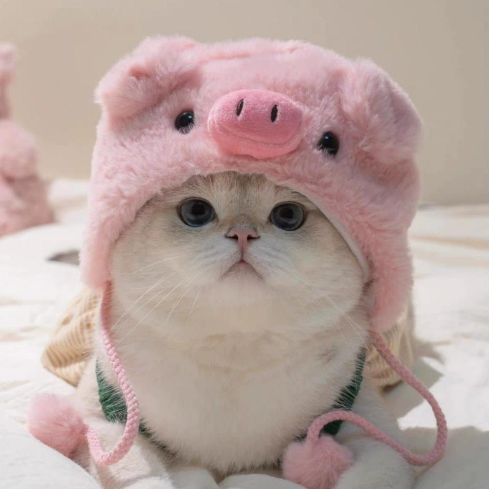 Refined Style Knitting Wool Cat Hat Cute Design Elastic Knitted Hat Photo Props Pet Hat Party Photo Shoot