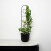 Black Metal Support for Climbing Plants Portale 60cm - Modern Ladder for Flowers and Pots, Support Frame for Monstera and Hoje